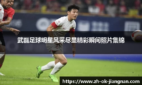 武磊足球明星风采尽显精彩瞬间照片集锦